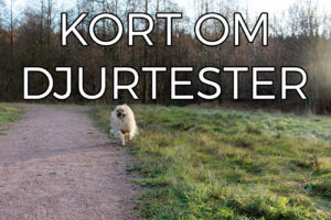 Vilka företag djurtestar