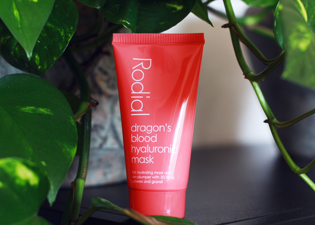 Rodial Dragon's blood hyaluronic mask